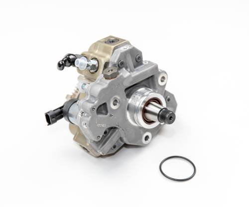 Fuel System & Components - Fuel System Parts