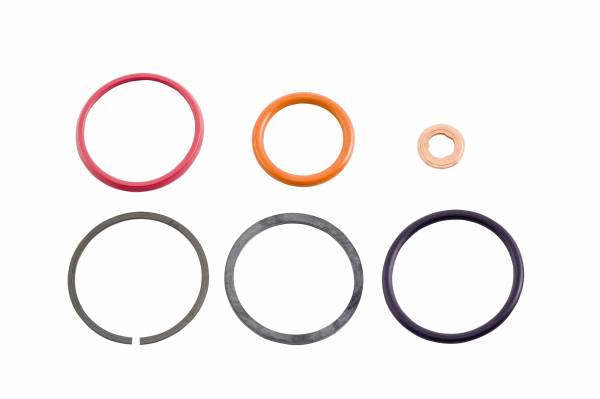 Alliant Power - Alliant Power AP0001 HEUI Injector Seal Kit