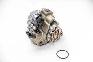 Dan's Diesel Performance, INC. - LLY Sportzman CP3 - Image 4