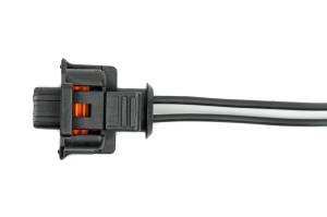 Dan's Diesel Performance, INC. - Injector Harness Pigtail, 2004.5 LLY - 2016 LML - Image 2